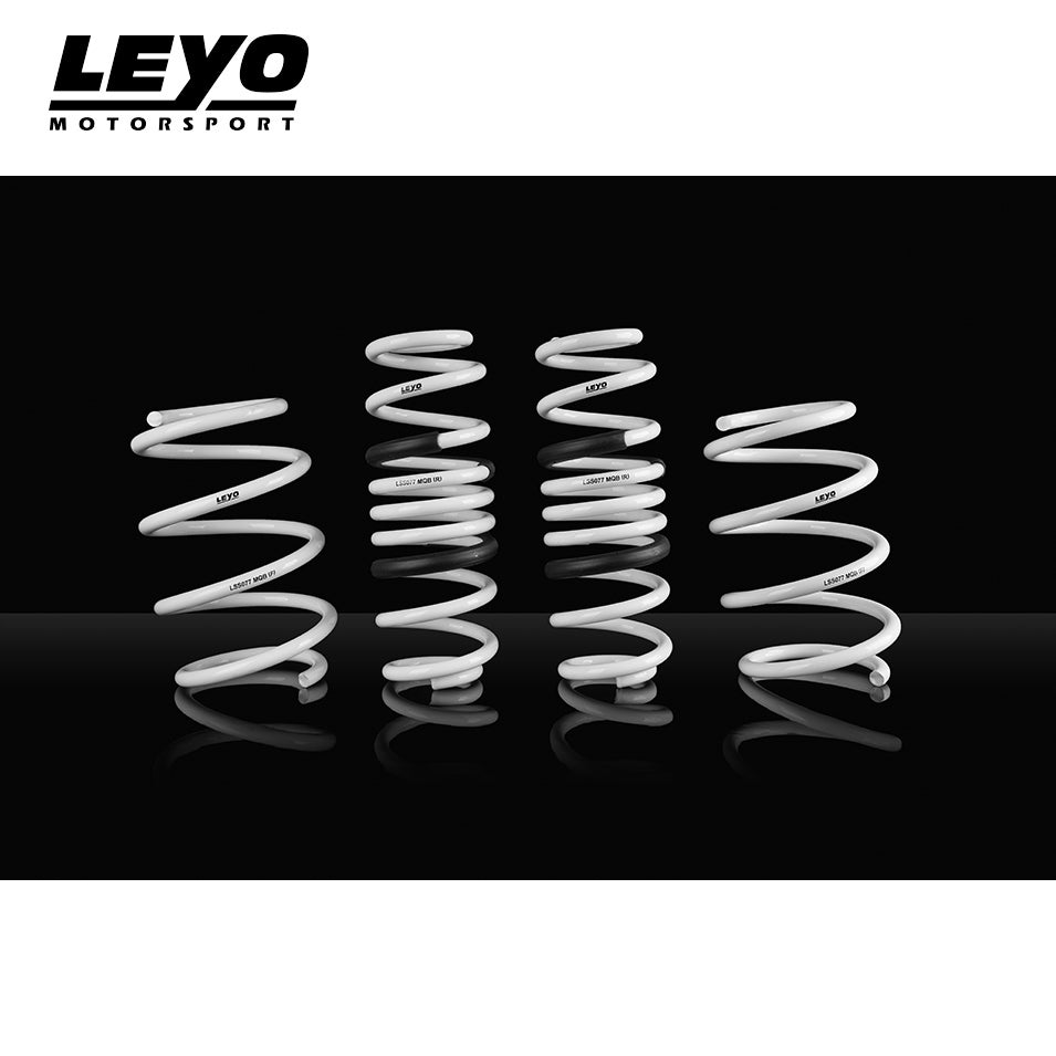 AST 30mm/30mm Lowering Springs | VW Golf MKVI/1KM (07-13) (ASTLS-14-2449) main image 0