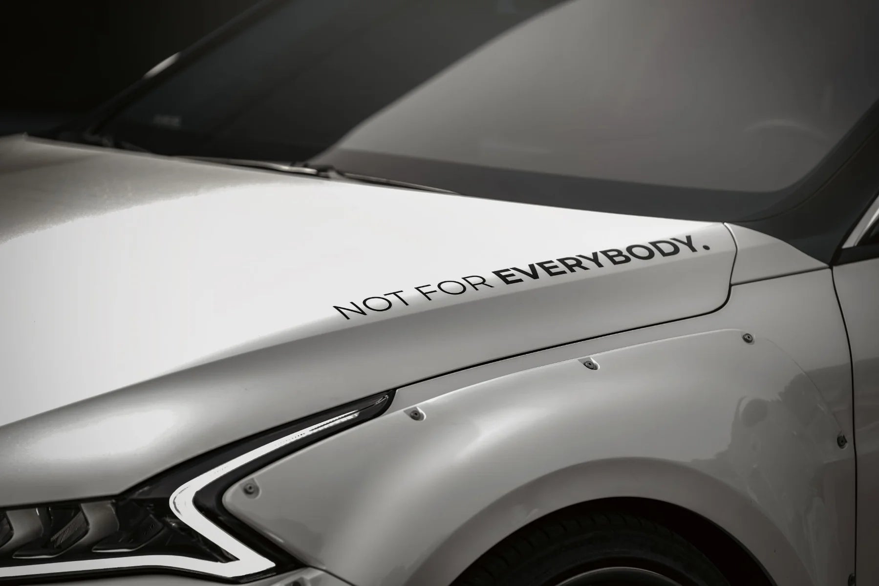 "Not for Everybody" Decal