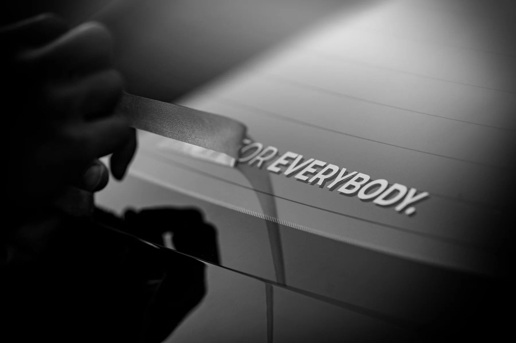 "Not for Everybody" Decal